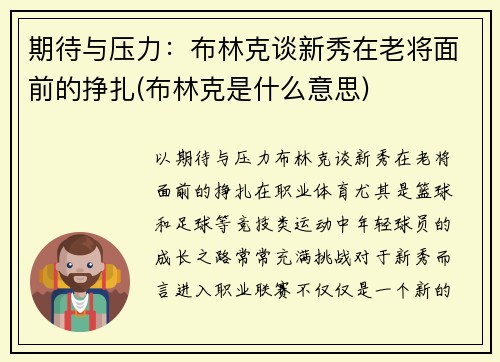 期待与压力：布林克谈新秀在老将面前的挣扎(布林克是什么意思)